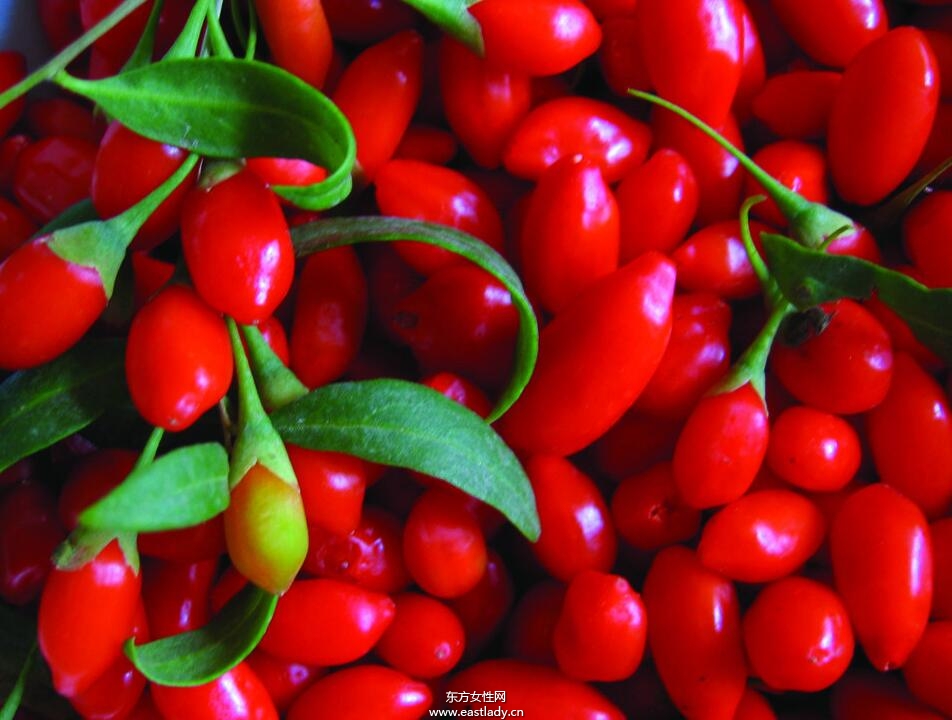 枸杞子泡酒喝的功效与做法 增强造血功能