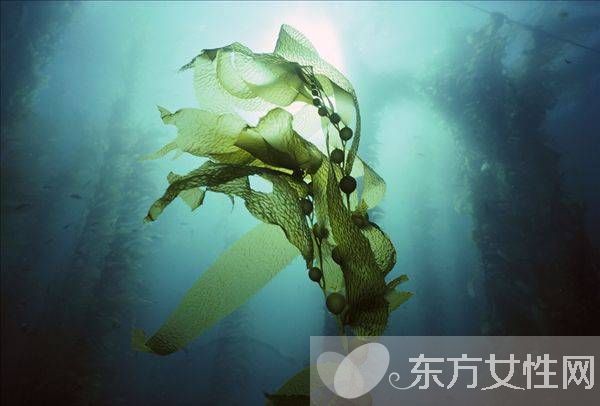 治疗子宫肌瘤的偏方 这些居然是子宫肌瘤的早起症状