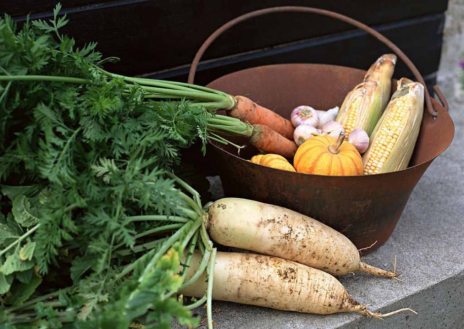 白萝卜怎么做好吃 有哪些功效