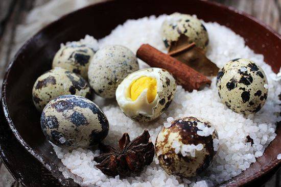 鹌鹑蛋的4大营养价值 居然不比鸡蛋高