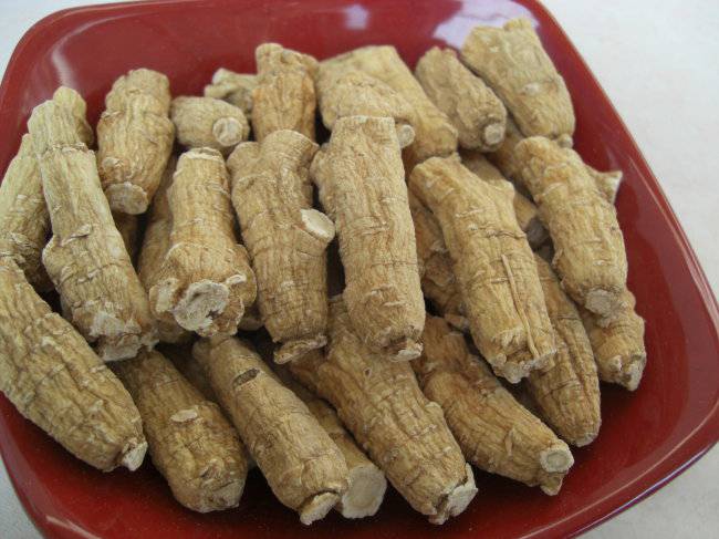 西洋参泡水的功效虽好 但以下禁忌需注意