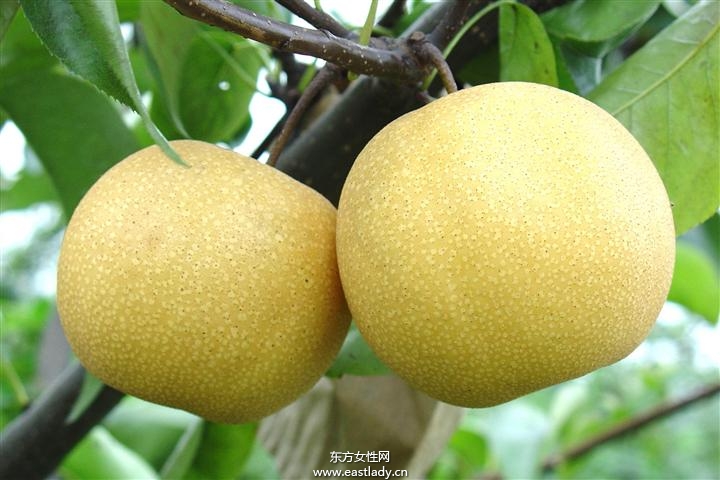 细数含糖量低的水果 它们都有什么丰富的营养价值