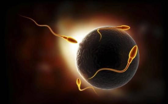 造成染色体异常的因素是什么