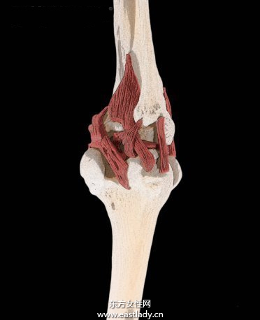 韧带损伤应该注意哪些饮食 四个方法教你如何正确做好防护