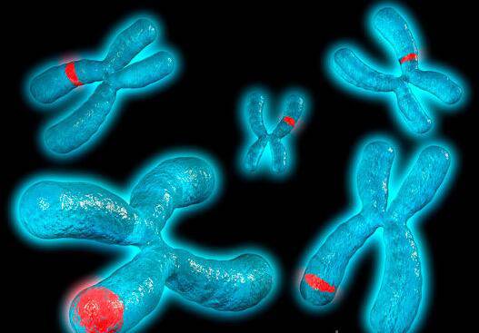 造成染色体异常的因素是什么