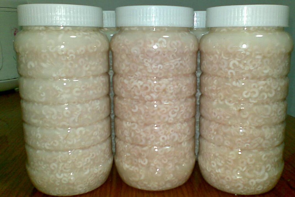 日常饮食养生之蜂皇浆的作用与功效