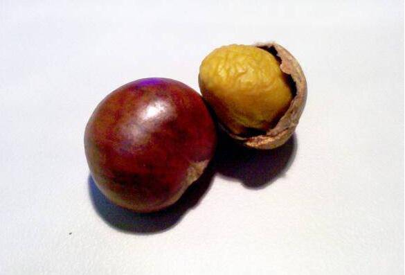 警惕 5个不良习惯最易导致女性肾虚