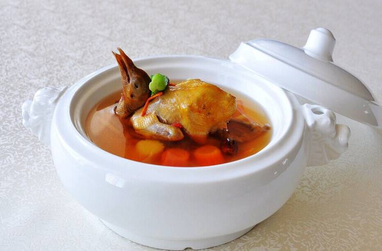 鸽子汤的功效与作用 探究鸽子汤回奶吗