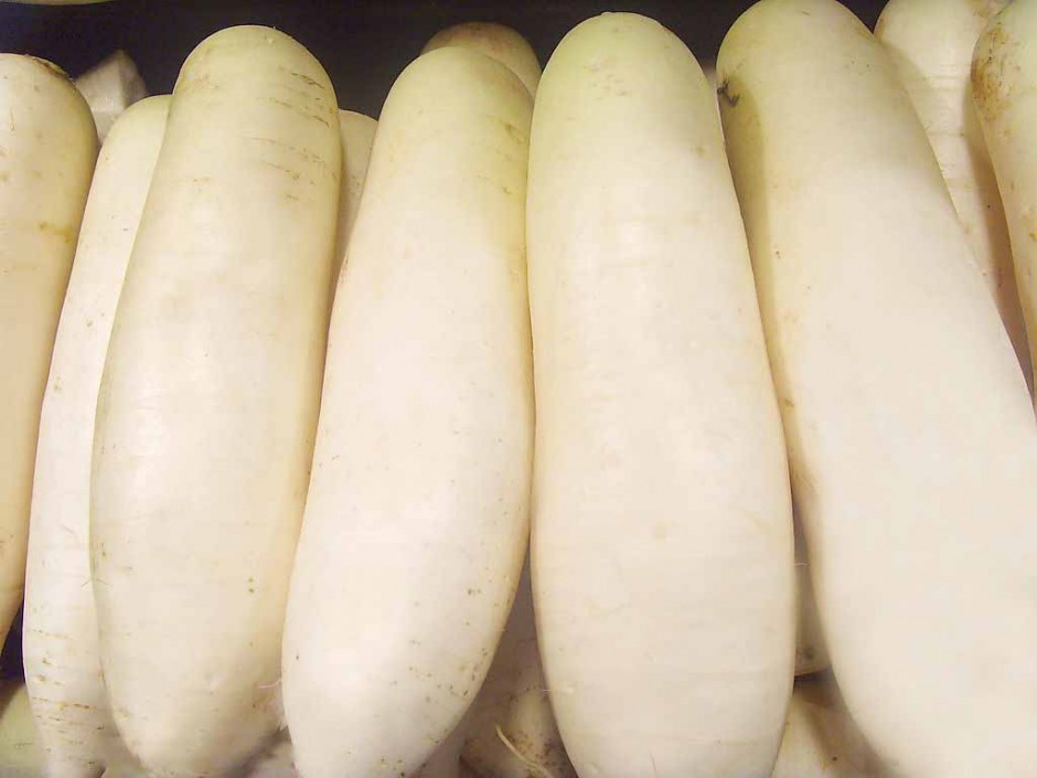 白萝卜怎么做好吃 有哪些功效