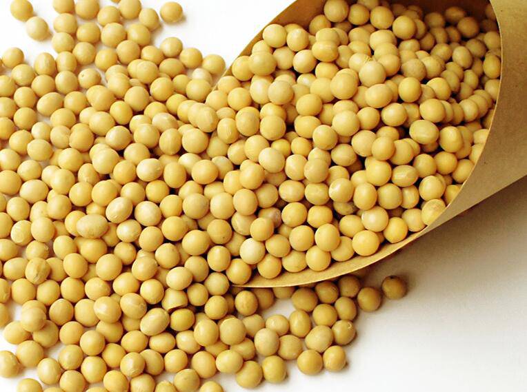 造成染色体异常的因素是什么