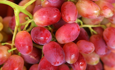 多吃提子还能抗衰老 揭提子的功效与作用