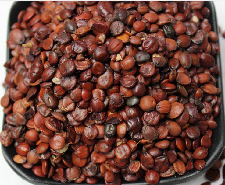 酸枣仁的副作用是什么 教你酸枣仁5大正确吃法