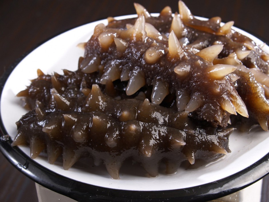 海参的5种美味吃法 滋养补益正当时