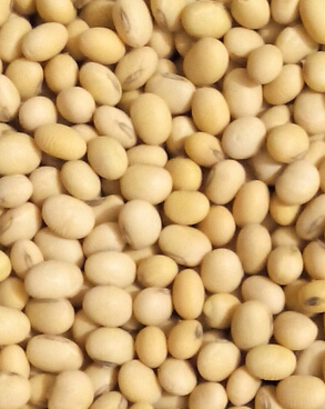 养肝护肝的食物 养肝必备7种营养物质