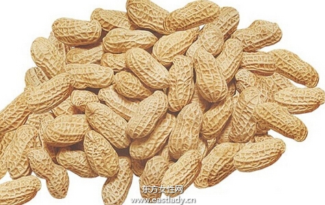 花生的功效与作用以及营养价值