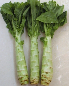 养肝护肝的食物 7种菜养肝护阳