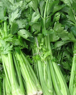 养肝护肝的食物 养肝必备7种营养物质