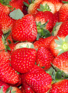 肝火旺盛怎么调理 春季肝火旺饮食调理方法