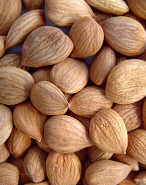 治疗白发 调理白发食疗的小秘方