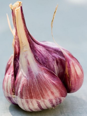 高血压饮食 高血压能吃大蒜吗