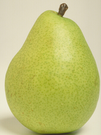 口腔溃疡吃什么水果 口腔溃疡吃什么水果好