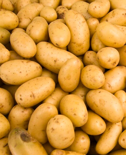 孕妇饮食禁忌 导致畸型胎儿的6种食物