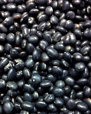 怎样白发变黑发 年轻人长白头发怎么调理