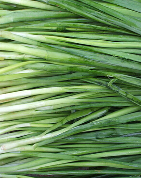 韭菜的功效与作用 吃韭菜能补肾助阳