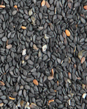 白癜风怎么治 民间常用的白癜风食疗方