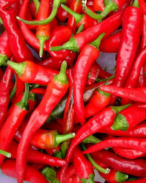 癫痫病的治疗 青少年癫痫病的饮食常识