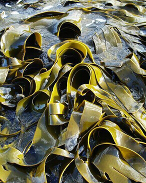 脱发怎么办 远离脱发饮食让你长头发