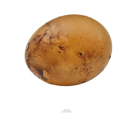 白领一族这样吃营养又健康