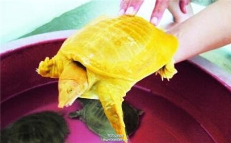 看好了 这几个月出生的人2016年将咸鱼大翻身