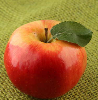 口腔溃疡吃什么 口腔溃疡患者吃什么水果好