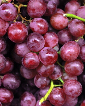 前列腺炎怎么治疗 水果缓解前列腺炎