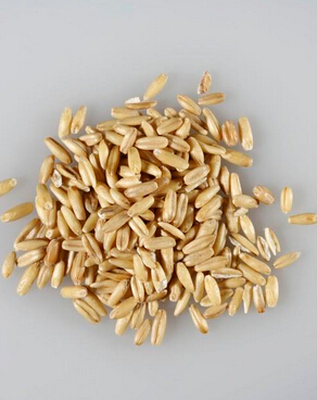 脱发怎么办 预防脱发是什么好