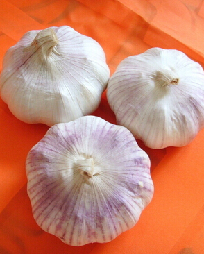 胃癌饮食食谱 预防胃癌必吃的5种食物