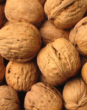 治疗白发 哪些食疗方可治疗白发