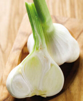 气血不足如何调理 女人气血虚怎么调理