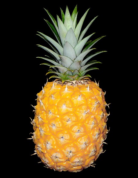 吃什么补脑 青少年12款益智健脑食物