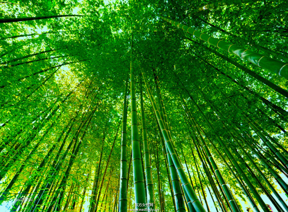 毛细血管破裂是怎么回事 揭秘毛细血管破裂的症状