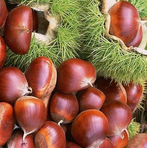 口腔溃疡的治疗方法 口腔溃疡吃什么好