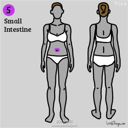 身体九个部位疼痛说明健康在对你发出危险警告