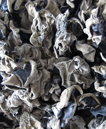 冬季养肾 5种秘诀帮你解决养肾护肾烦恼