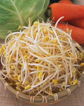 养肝护肝的食物 7种菜养肝护阳