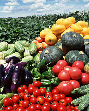 健康饮食搭配 让老人远离五种疾病