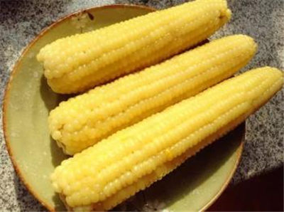 爱吃这十种食物的人 少生病 易长寿