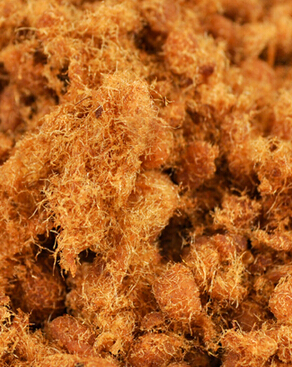 婴儿肉松 婴儿可以吃肉松吗