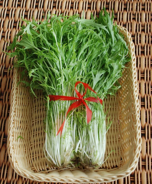 冠心病的注意事项 冠心病的饮食禁忌