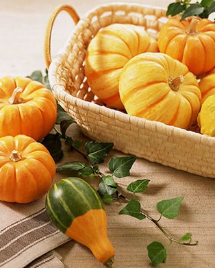 五脏六腑 最科学五脏六腑调理时间